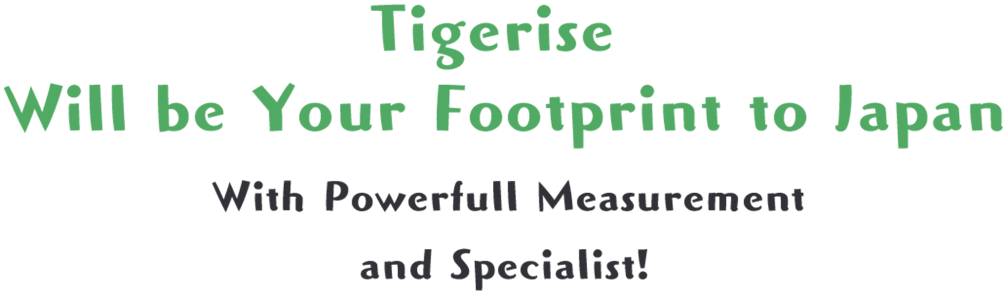 Tigerise Will be Your Footprint to Japan With Powerfull Measurement and Specialist!